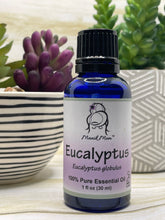 Load image into Gallery viewer, Eucalyptus Essential Oil